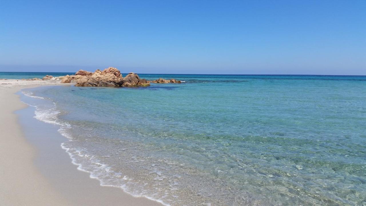 命运之屋住宿加早餐旅馆 Loiri Porto San Paolo 外观 照片