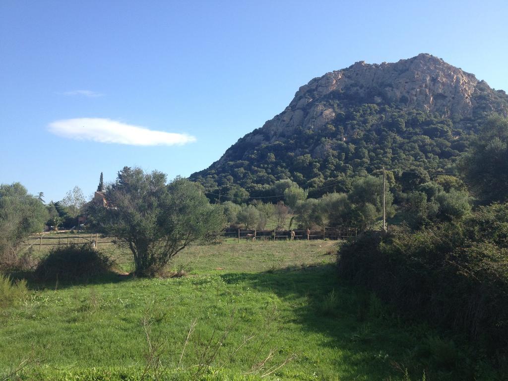命运之屋住宿加早餐旅馆 Loiri Porto San Paolo 外观 照片