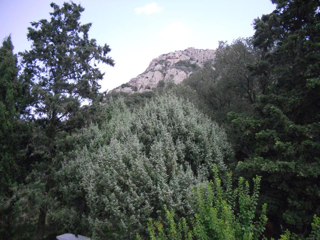 命运之屋住宿加早餐旅馆 Loiri Porto San Paolo 外观 照片