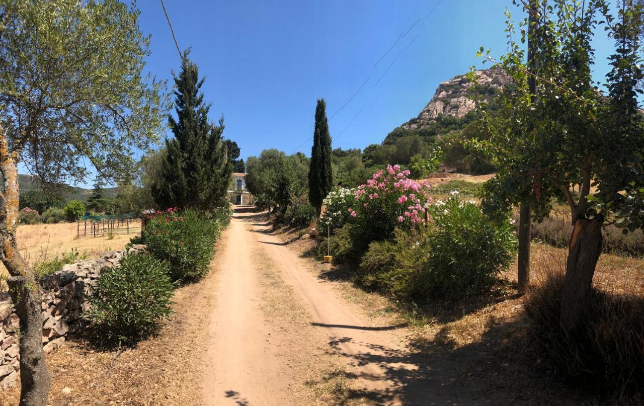 命运之屋住宿加早餐旅馆 Loiri Porto San Paolo 外观 照片