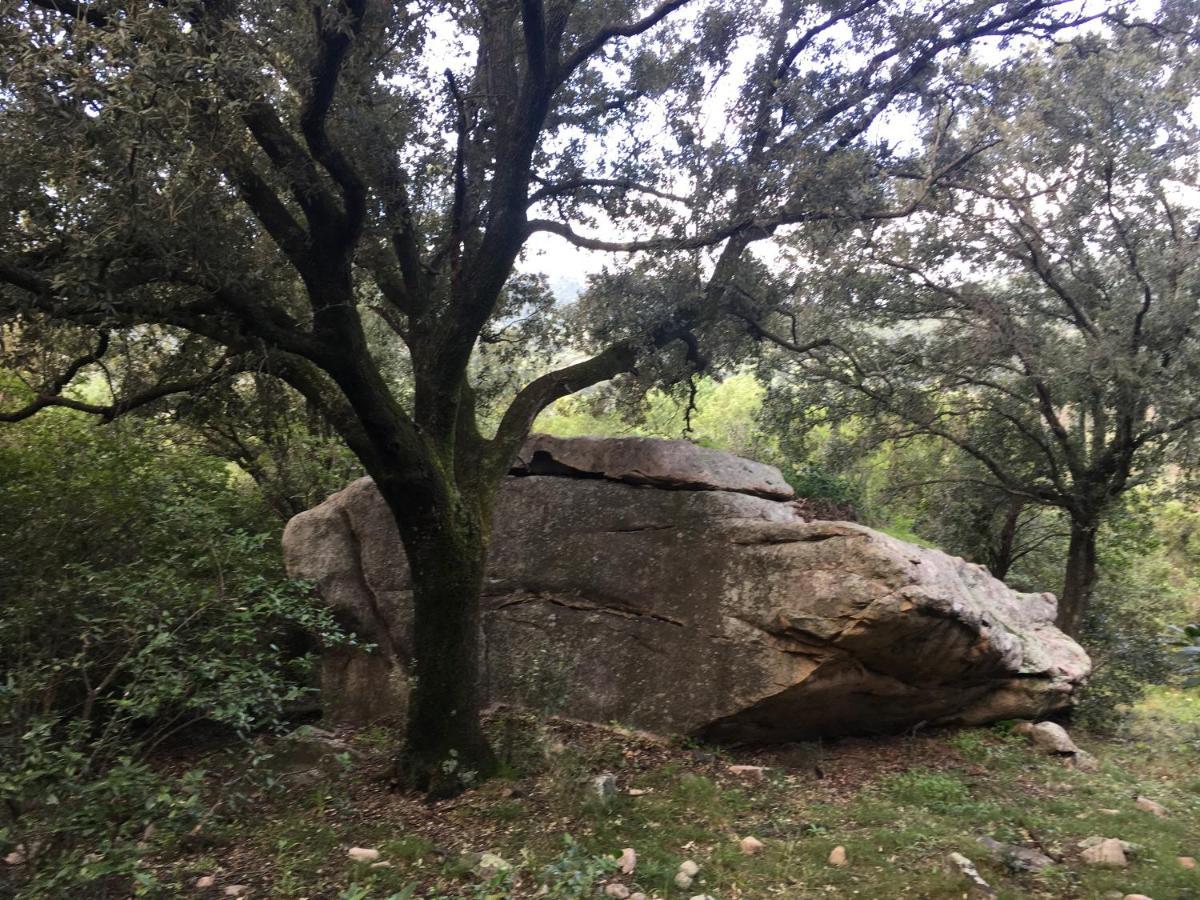 命运之屋住宿加早餐旅馆 Loiri Porto San Paolo 外观 照片