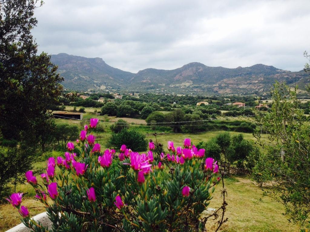 命运之屋住宿加早餐旅馆 Loiri Porto San Paolo 外观 照片
