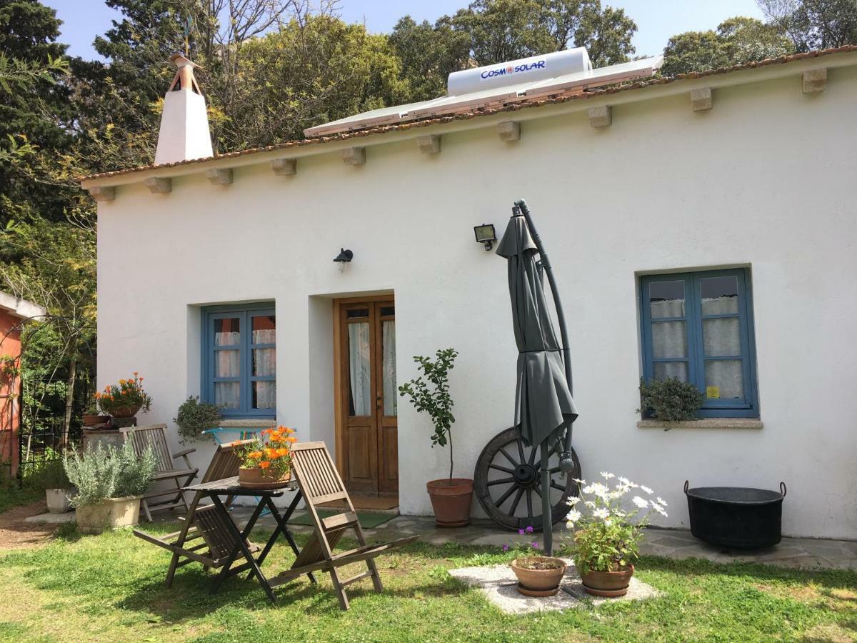 命运之屋住宿加早餐旅馆 Loiri Porto San Paolo 外观 照片